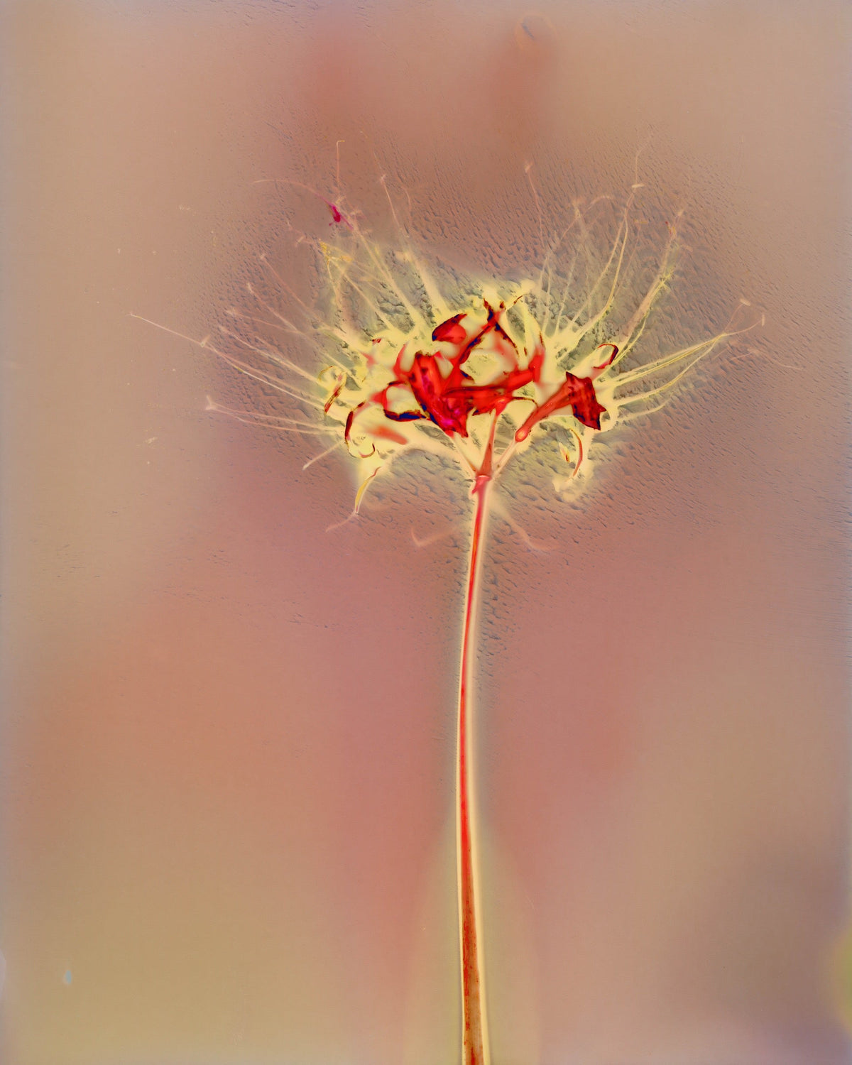 Drishti｜Seeing Beyond the Visible